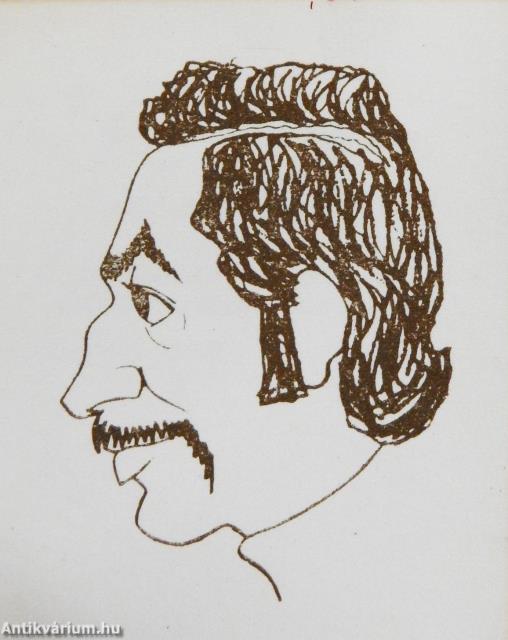 Van képünk (minikönyv) - Plakettel