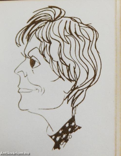 Van képünk (minikönyv) - Plakettel