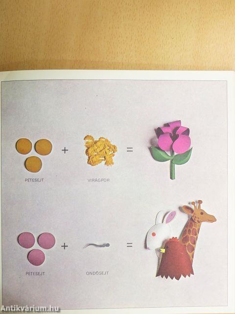 Hogyan születik a kisbaba?