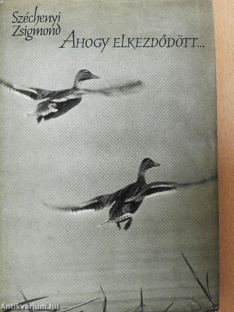 Ahogy elkezdődött...