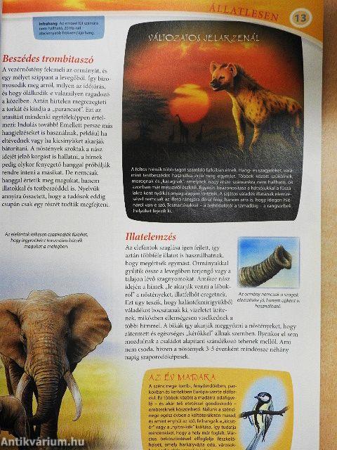 Tudorka Magazin 122.