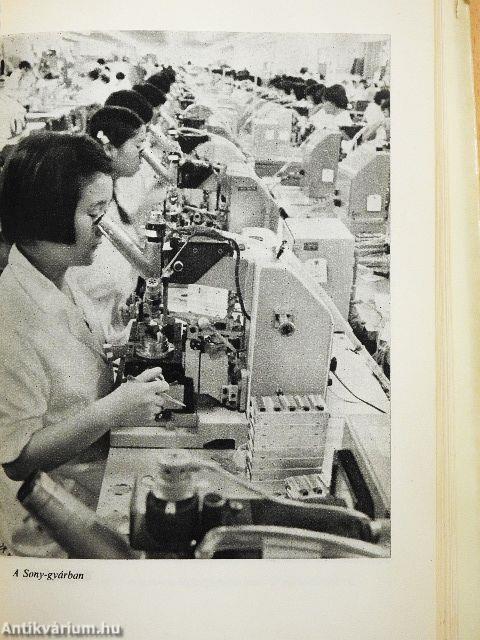 Vendég voltam Japánban