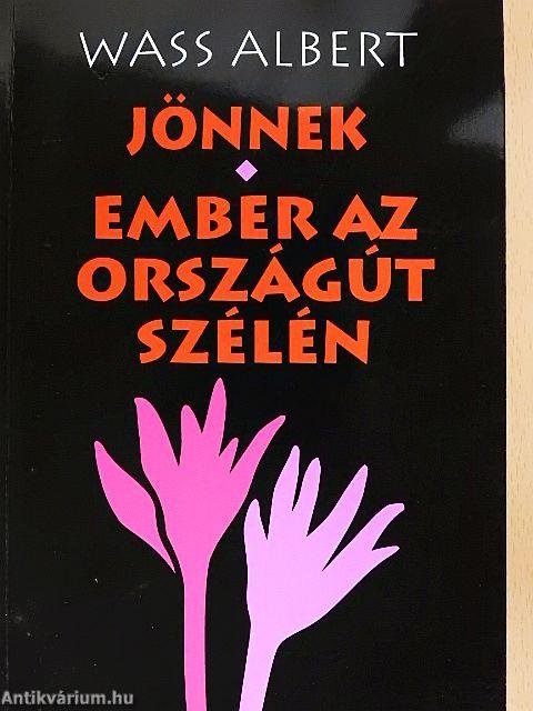 Jönnek/Ember az országút szélén