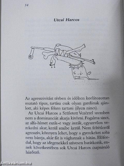 Kutya utónévkönyv