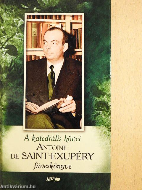 A katedrális kövei