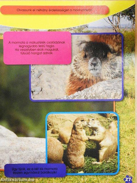 Micimackó magazin 2009/10.