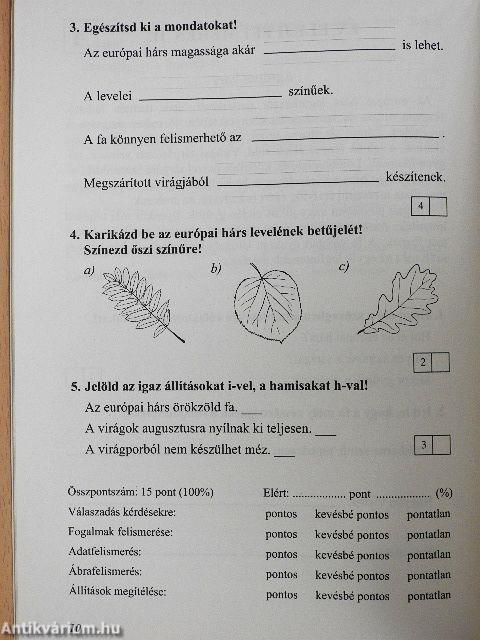 Szövegértés 2AB