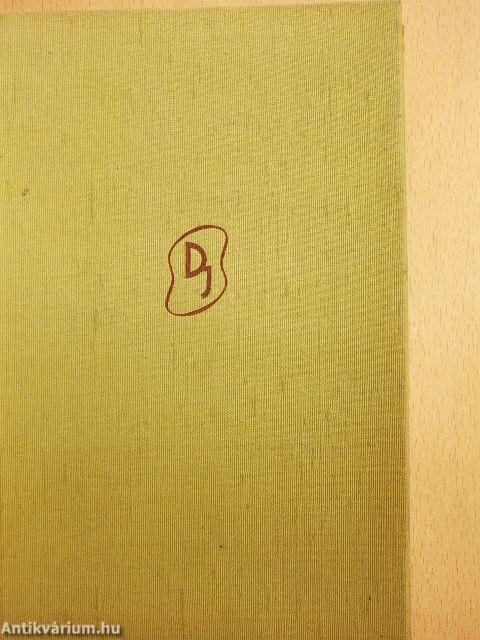 Város az ingoványon