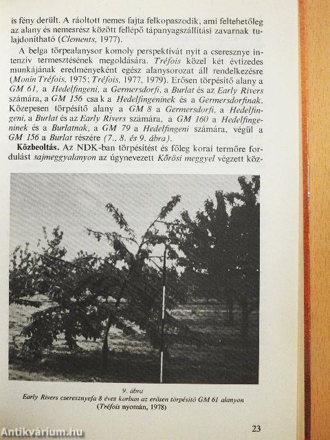 Törpegyümölcsfa-nevelés