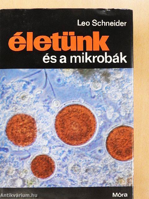 Életünk és a mikrobák