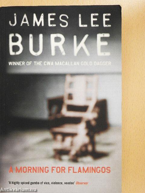 A morning for Flamingos