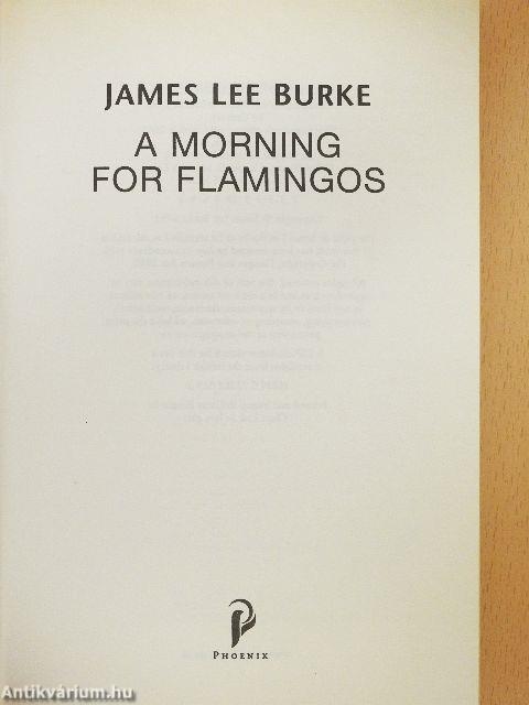 A morning for Flamingos