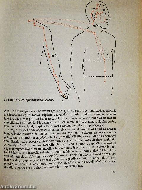 Klinikai akupunktúra