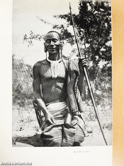 Afrikai tábortüzek