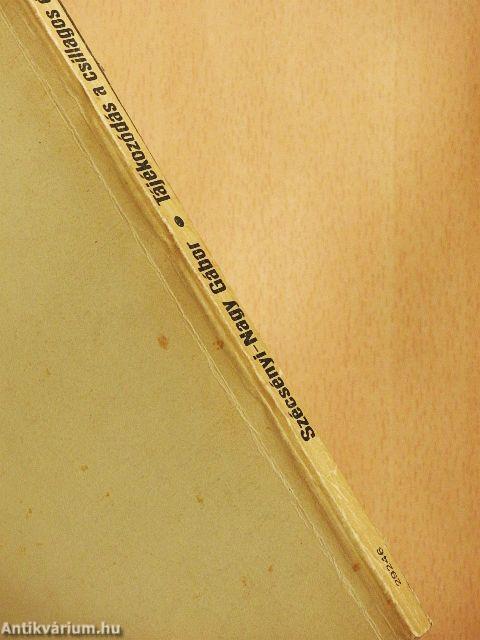 Tájékozódás a csillagos égen