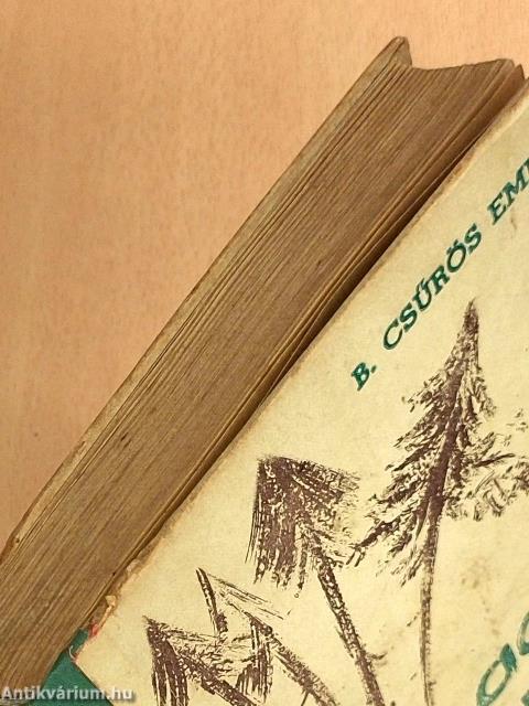 Kisbaconi fenyőfák