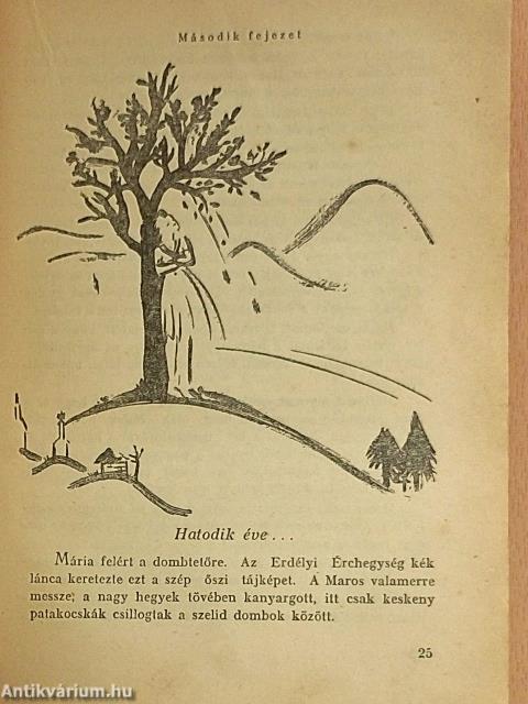 Kisbaconi fenyőfák