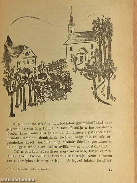 Kisbaconi fenyőfák