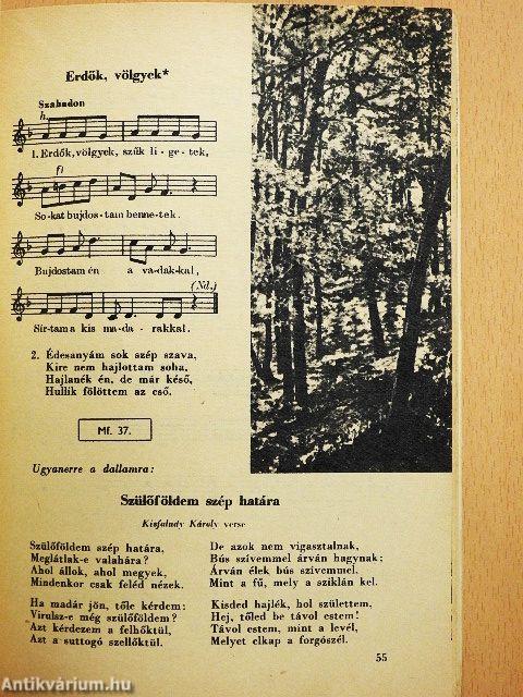 Ének-zene 5.