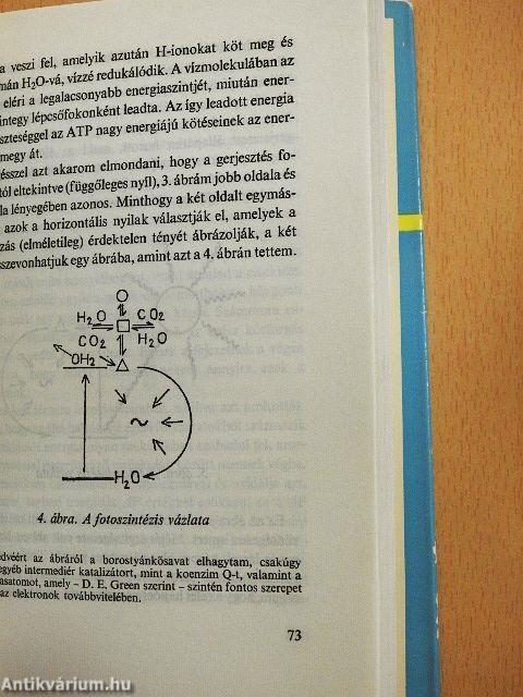 Egy biológus gondolatai