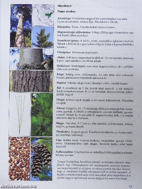 Erdészeti növénytan