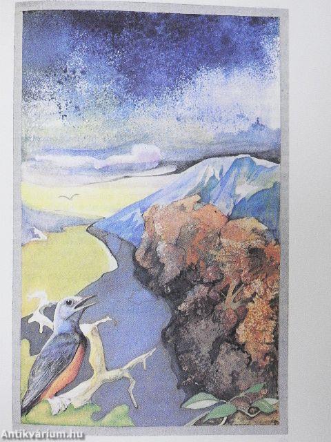 Erdők, rétek, nádasok