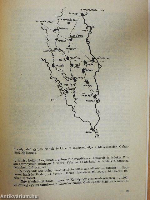 Tulipán és kereszt