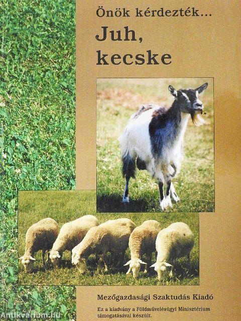 Juh, kecske