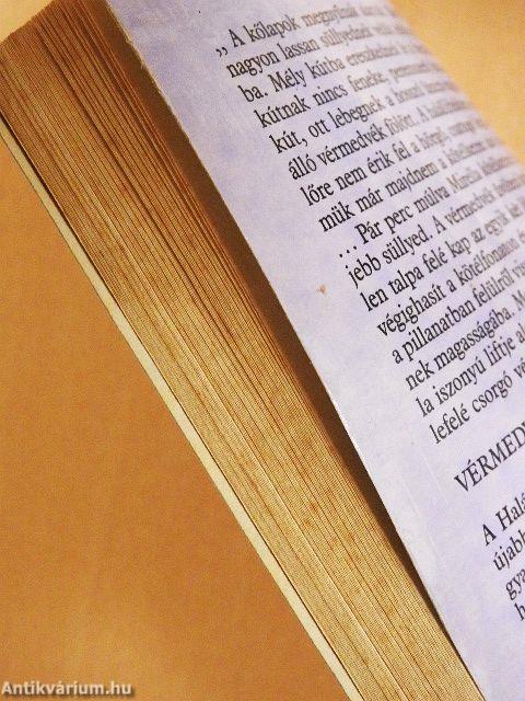 Vérmedvék kastélya