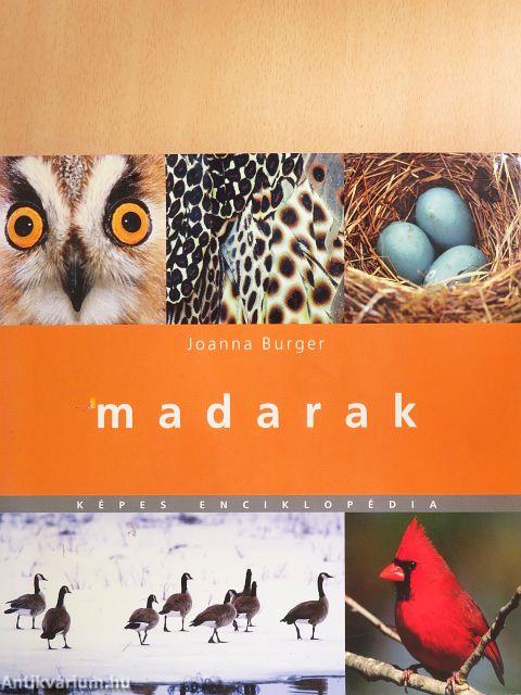 Madarak