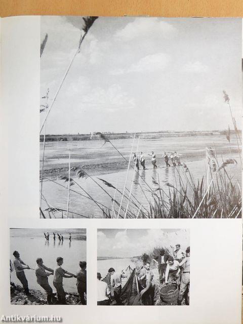 Magyarország 1965