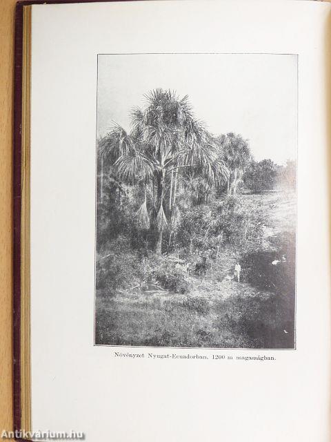 Az Amazonasz őserdeiben