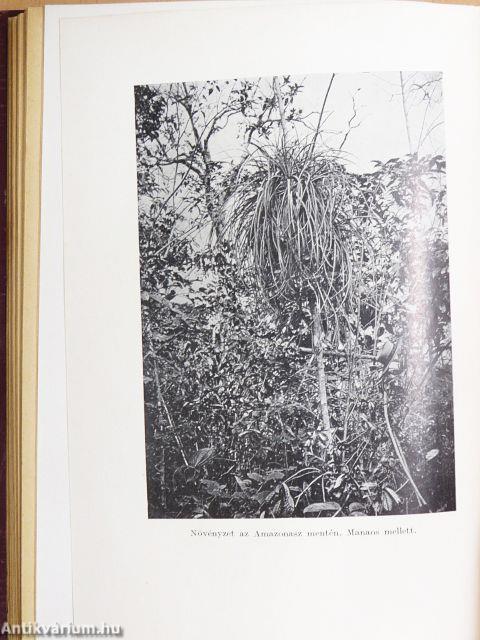 Az Amazonasz őserdeiben