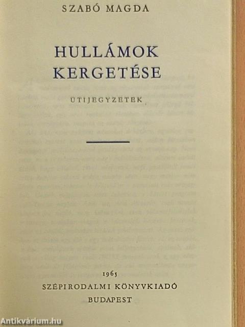 Hullámok kergetése