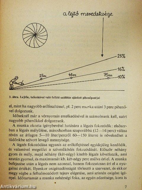 Gyógyító munka a biokertben