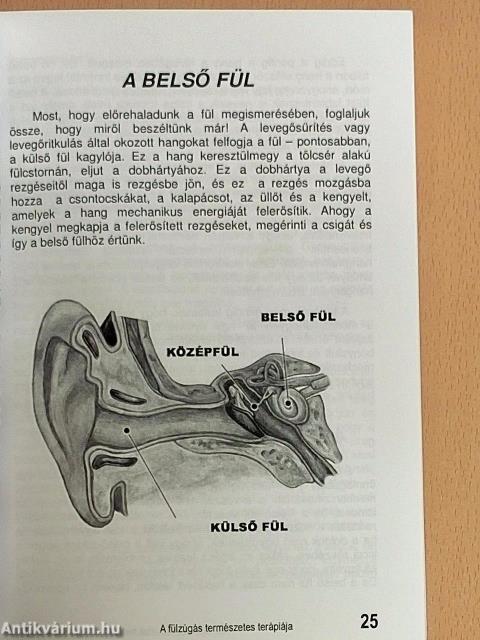 A fülzúgás természetes terápiája