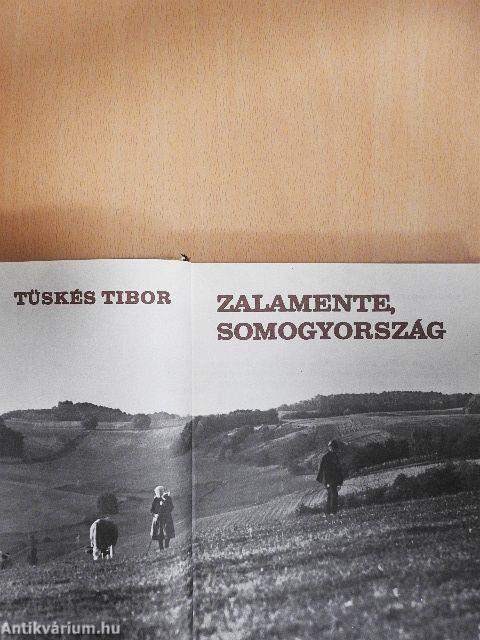 Zalamente, Somogyország