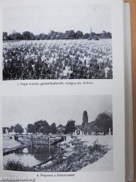 Ormányság