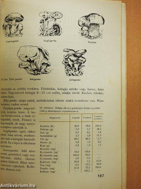 Élelmiszerismeret 1-2.
