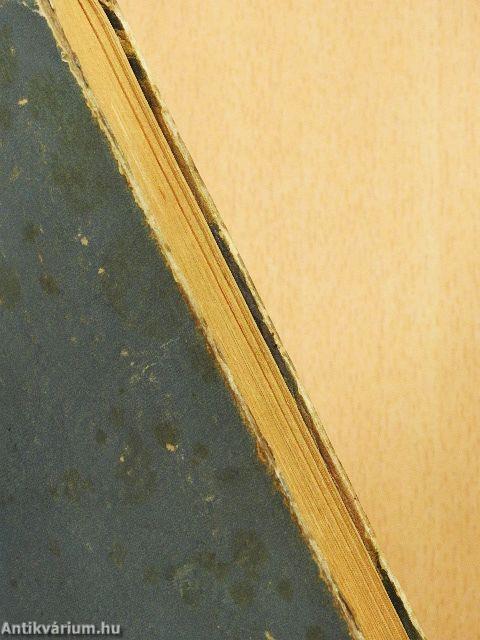 Kaland a Szamócában