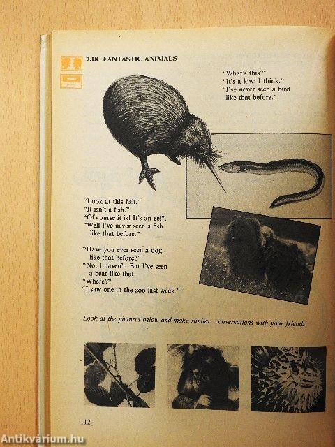 Marbles - üveggolyók