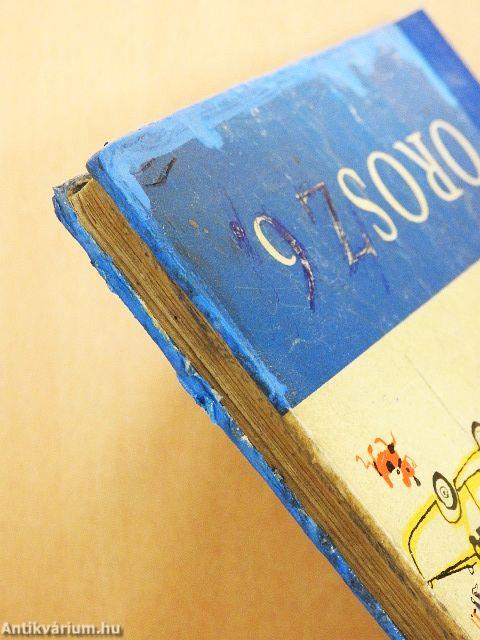 Orosz nyelvkönyv 6.