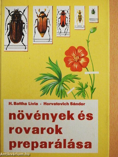 Növények és rovarok preparálása
