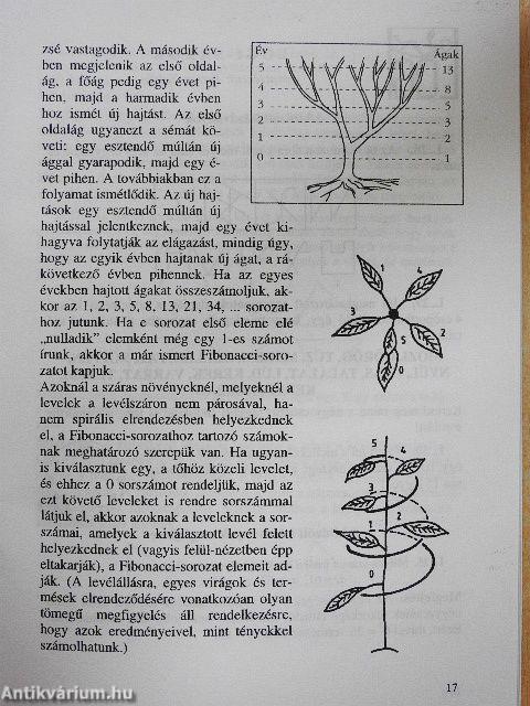 Abacus 1998. október