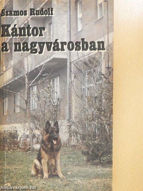 Kántor a nagyvárosban
