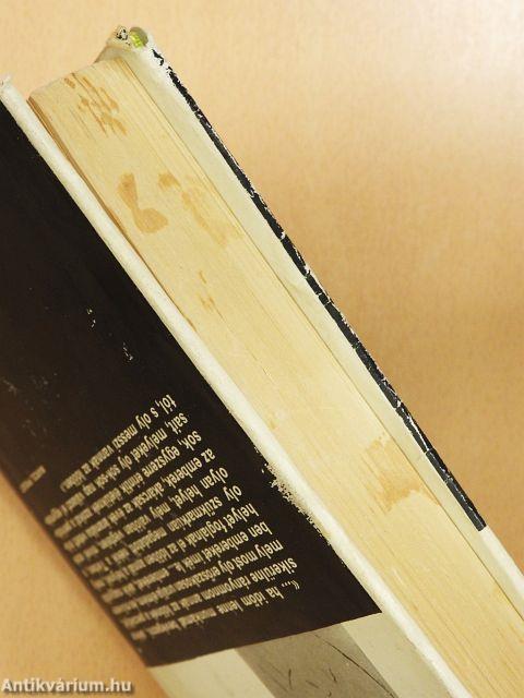 Az eltűnt idő nyomában I.