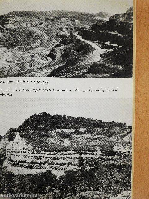 Az első ötvenmillió év