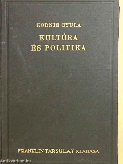 Kultúra és politika