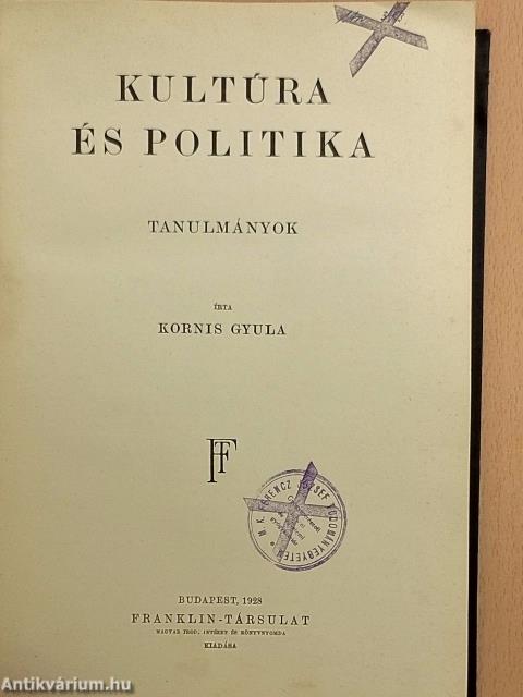 Kultúra és politika