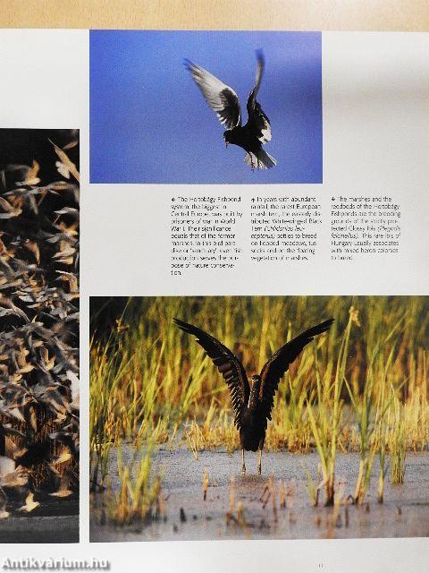 Hungary's National Parks